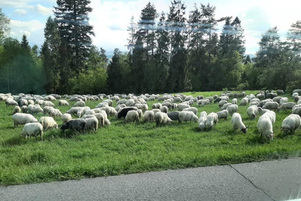 Krasna Chata Maniowy Buitenkant foto