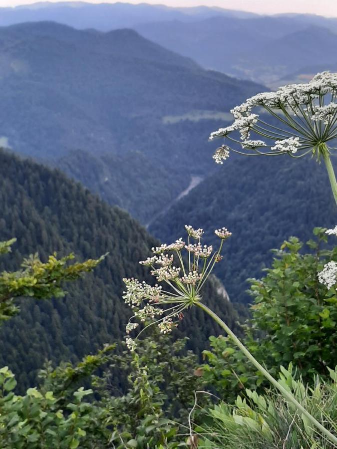 Krasna Chata Maniowy Buitenkant foto
